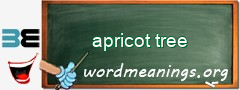 WordMeaning blackboard for apricot tree